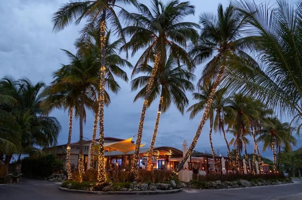 The restaurant at dusk under its palms, their trunks wrapped in lights