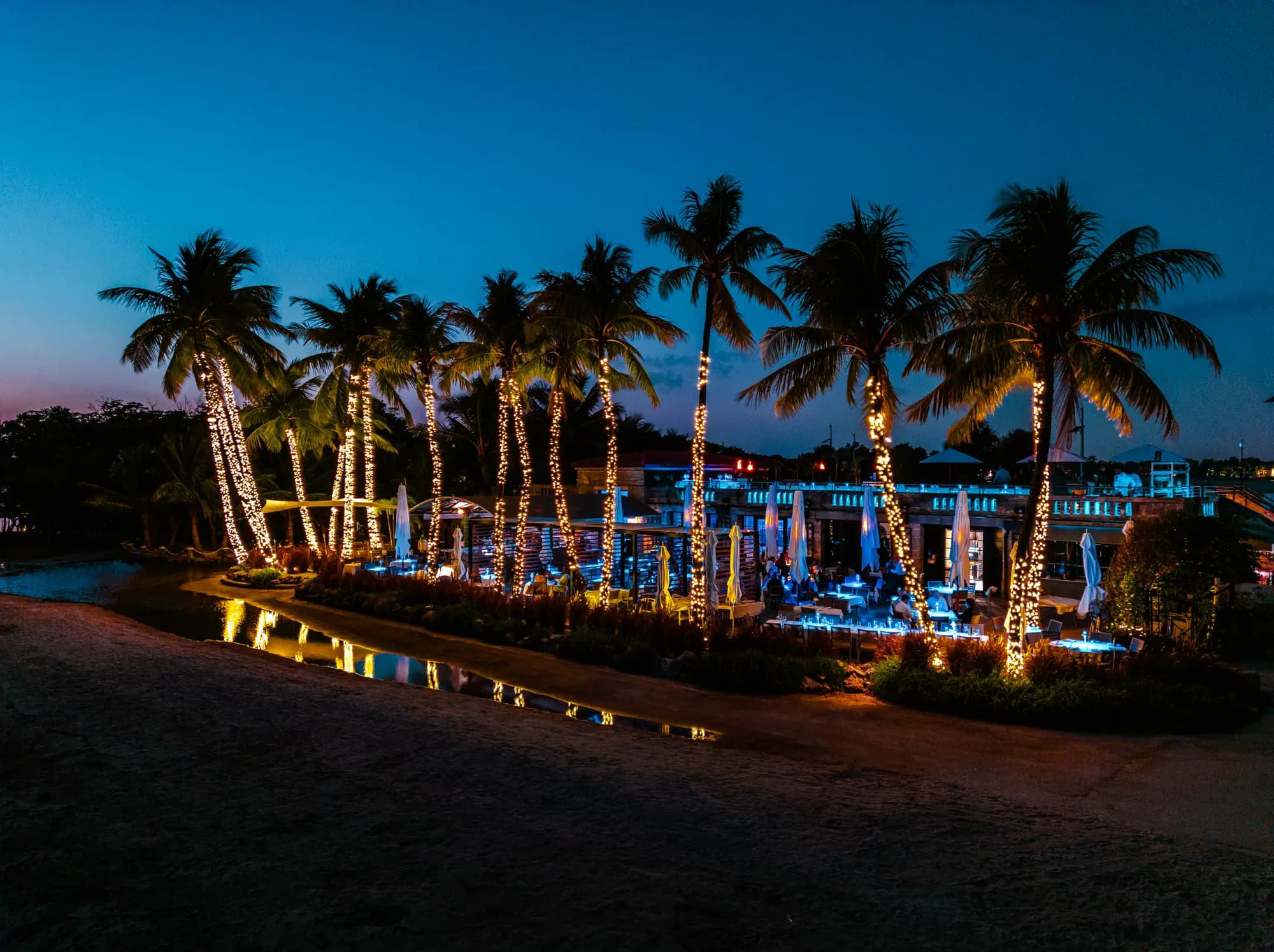 The lagoon’s shore at dusk, palms wrapped in lights along the water
