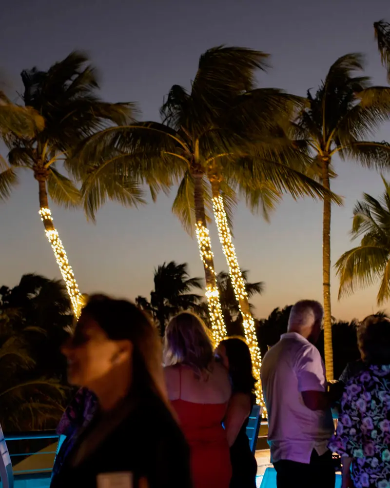 Guests on the terrace after dark, palms wrapped in lights against the evening sky