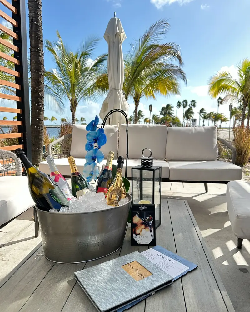 Champagne on ice on the terrace by day, white sofas and palms behind